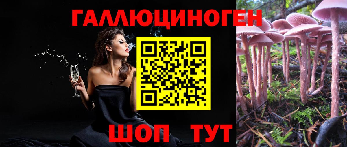 Псилоцибиновые грибы MAGIC MUSHROOMS  Псилоцибиновые грибы ЛСД  Усть-Джегута  Вход с VPN 